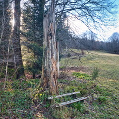 20220205202150-61458f93